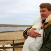 This beautiful swan hugged a man in gratitude for the rescue