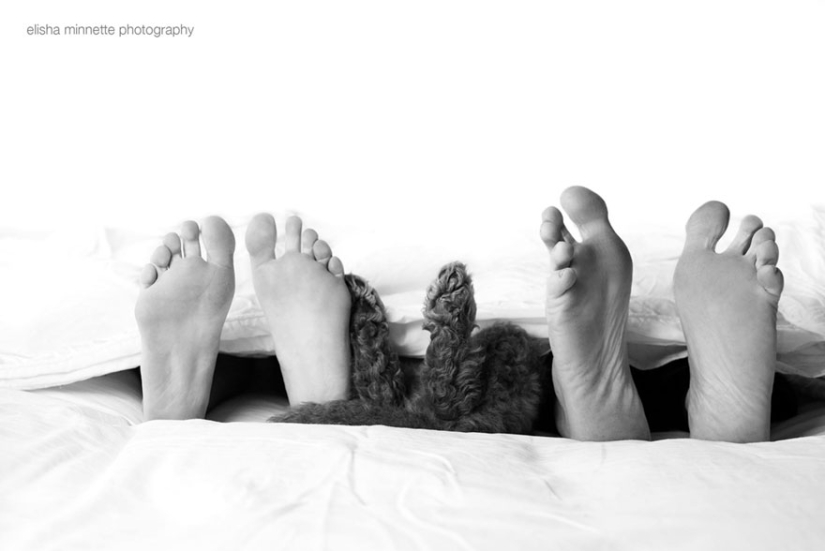 This couple got tired of being asked about children, and arranged a "newborn photo shoot" for their dog