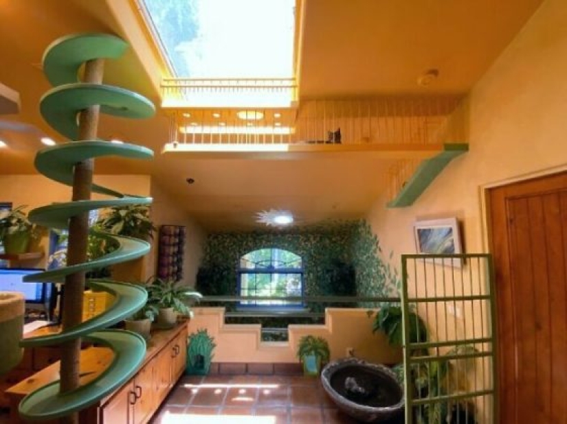 This man designed the perfect home for his cats