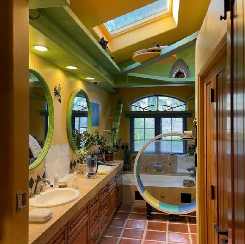 This man designed the perfect home for his cats