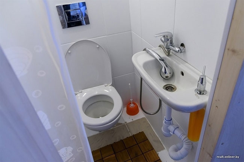 Three Belarusians and a dog live in a house with an area of 16 square meters