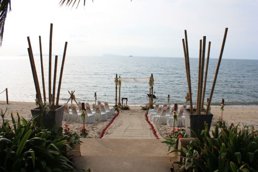 To "expensive-rich": Thai event agency rents a dowry for a wedding To "expensive-rich": Thai event agency rents a dowry for a wedding