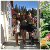 To grow hemp, fighting off bears girlfriend refused from the comfort to live "out of range" To grow hemp, fighting off bears girlfriend refused from the comfort to live "out of range"