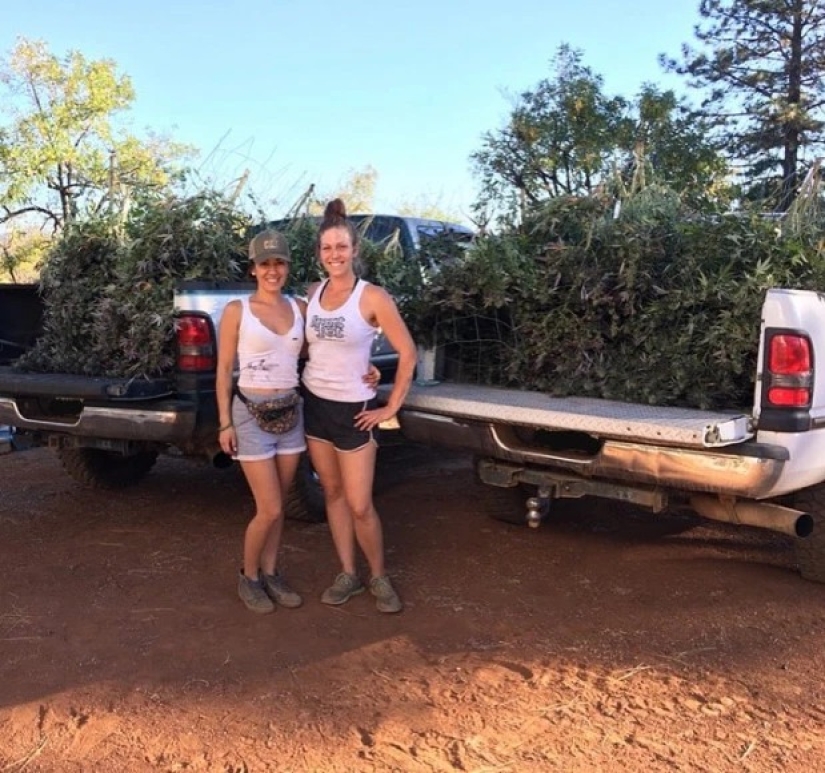To grow hemp, fighting off bears girlfriend refused from the comfort to live "out of range"