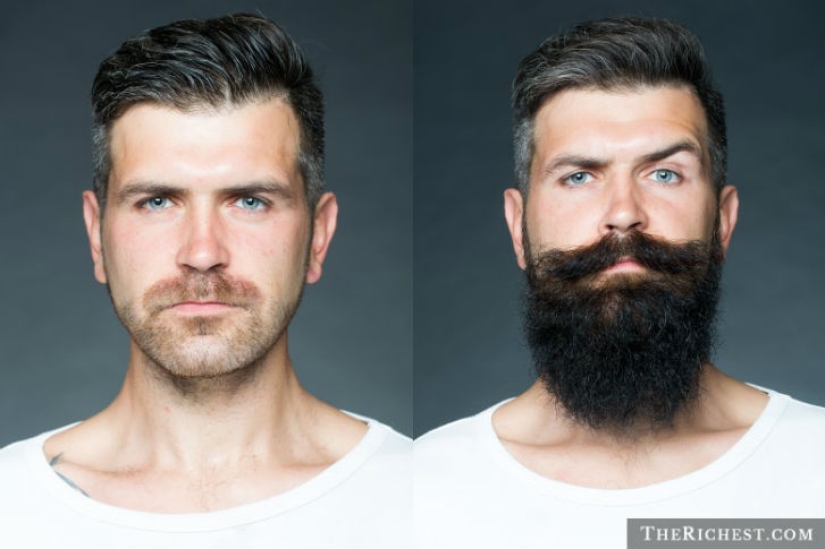 To shave or not to shave, that's the question