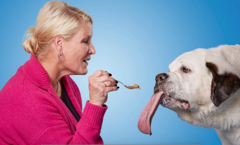 "Todas las golosinas son mías": el perro con la lengua más larga del mundo