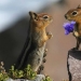 Todo el mundo lo hace — y los animales también Todo el mundo lo hace — y los animales también