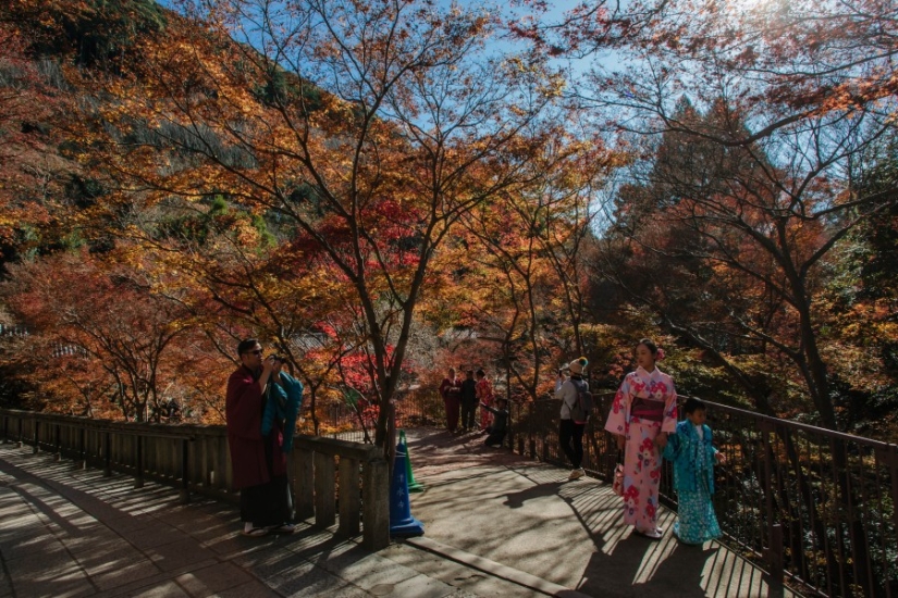 Todo Japón por mil dólares: instrucciones de un viajero profesional