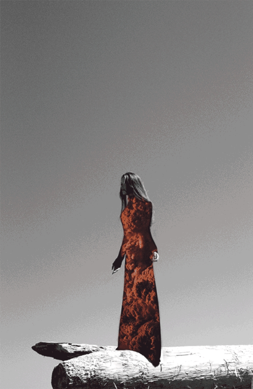 Todo un mar adentro: hermosos GIFs que muestran la riqueza del microcosmos Todo un mar adentro: hermosos GIFs que muestran la riqueza del microcosmos