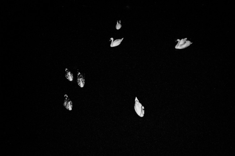 "Todos los gatos son grises": Berlín nocturno en la lente de Christian Reister