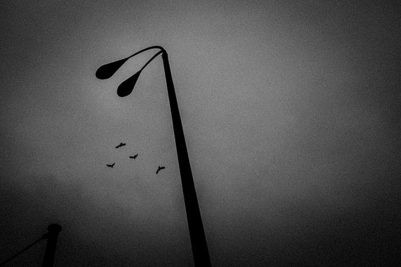 "Todos los gatos son grises": Berlín nocturno en la lente de Christian Reister