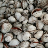 Top 10 Deadliest Foods to Avoid