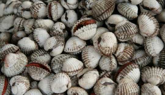 Top 10 Deadliest Foods to Avoid Top 10 Deadliest Foods to Avoid