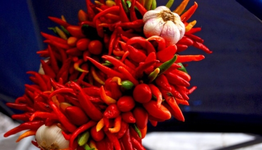 Top 10 foods that make us happy