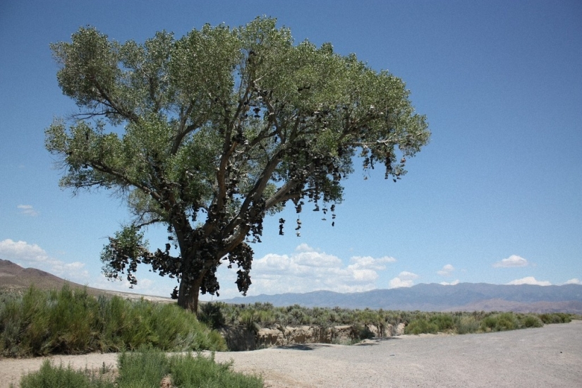 Top 20 Roadside Attractions in America Top 20 Roadside Attractions in America