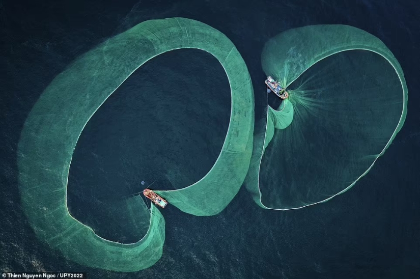 Tortuga fisicoculturista, espeluznante naufragio de la Marina de los EE. UU. y pez destrozado en Escocia: increíbles ganadores del premio al fotógrafo submarino del año 2022