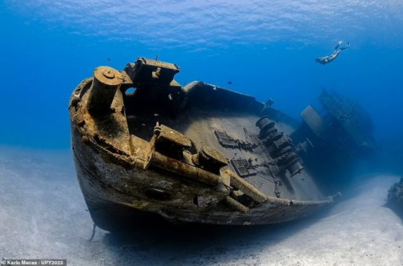 Tortuga fisicoculturista, espeluznante naufragio de la Marina de los EE. UU. y pez destrozado en Escocia: increíbles ganadores del premio al fotógrafo submarino del año 2022