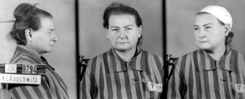 "Traté de calmarlos": retratos de prisioneros de Auschwitz del fotógrafo polaco Wilhelm Brass