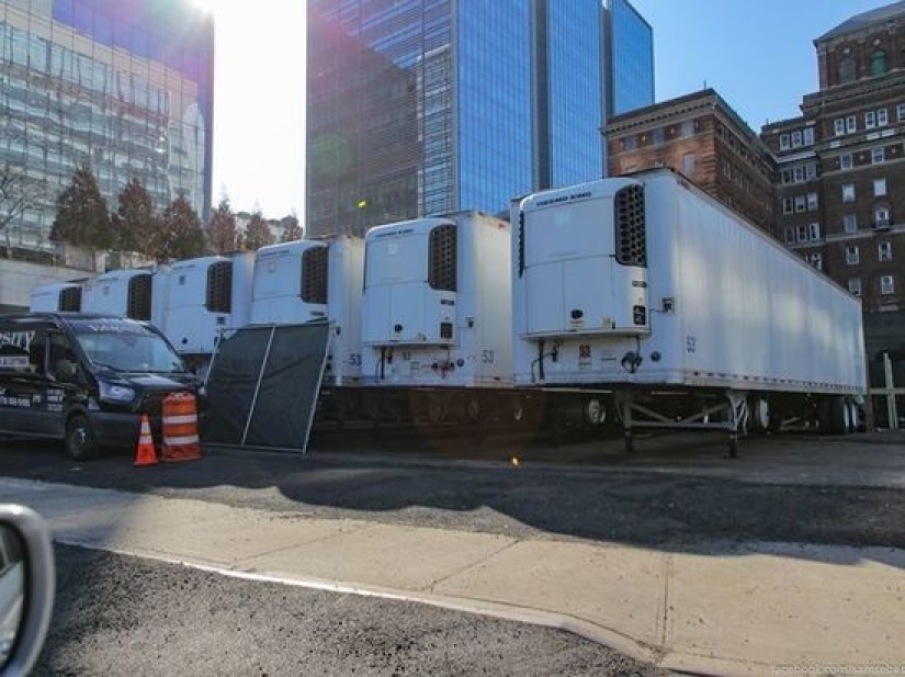 Trucks with dozens of corpses have been found in New York, some of them have already begun to decompose