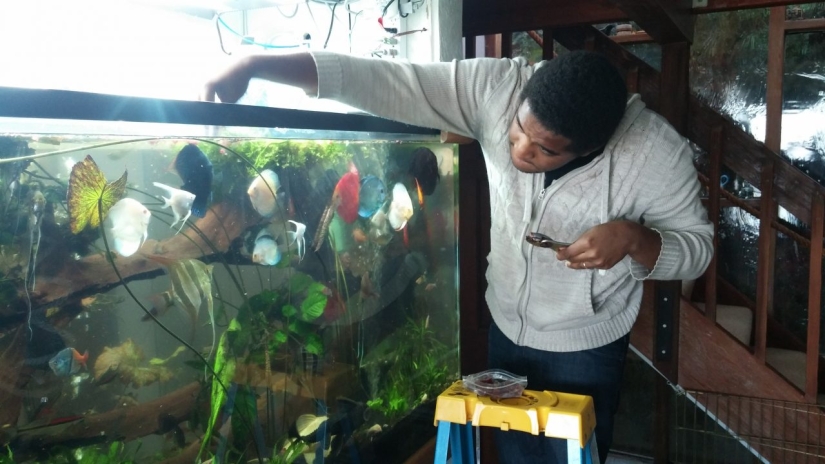 Truco de vida para viajeros: cómo los amantes de los animales pueden encontrar alojamiento gratuito en el extranjero