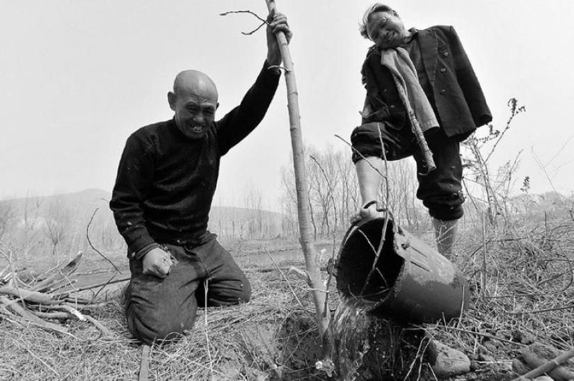 Two Chinese planted 10,000 trees