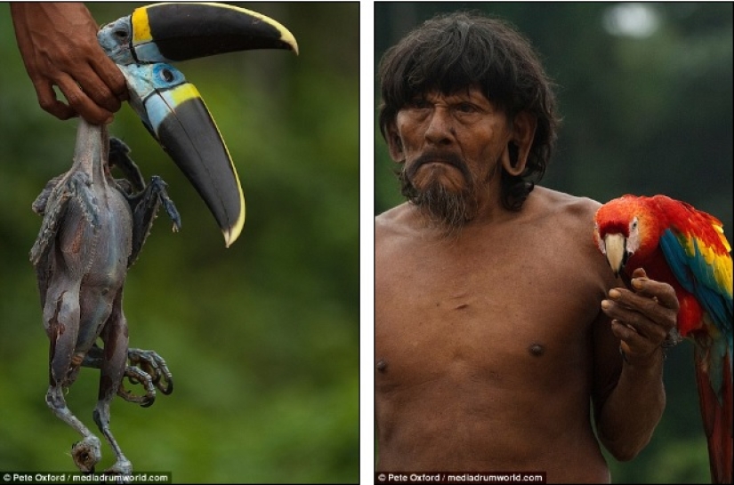 Un amigo entre extraños: el fotógrafo se hizo amigo de una tribu casi intacta por la civilización