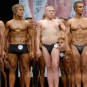 Un amigo entre extraños: un ciervo en Inglaterra fue "adoptado" por un rebaño de vacas