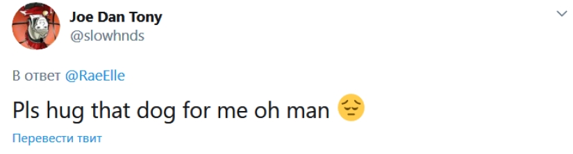 Un bulldog llamado Big Daddy, triste por la cuarentena, se ha convertido en un nuevo meme de la red Un bulldog llamado Big Daddy, triste por la cuarentena, se ha convertido en un nuevo meme de la red