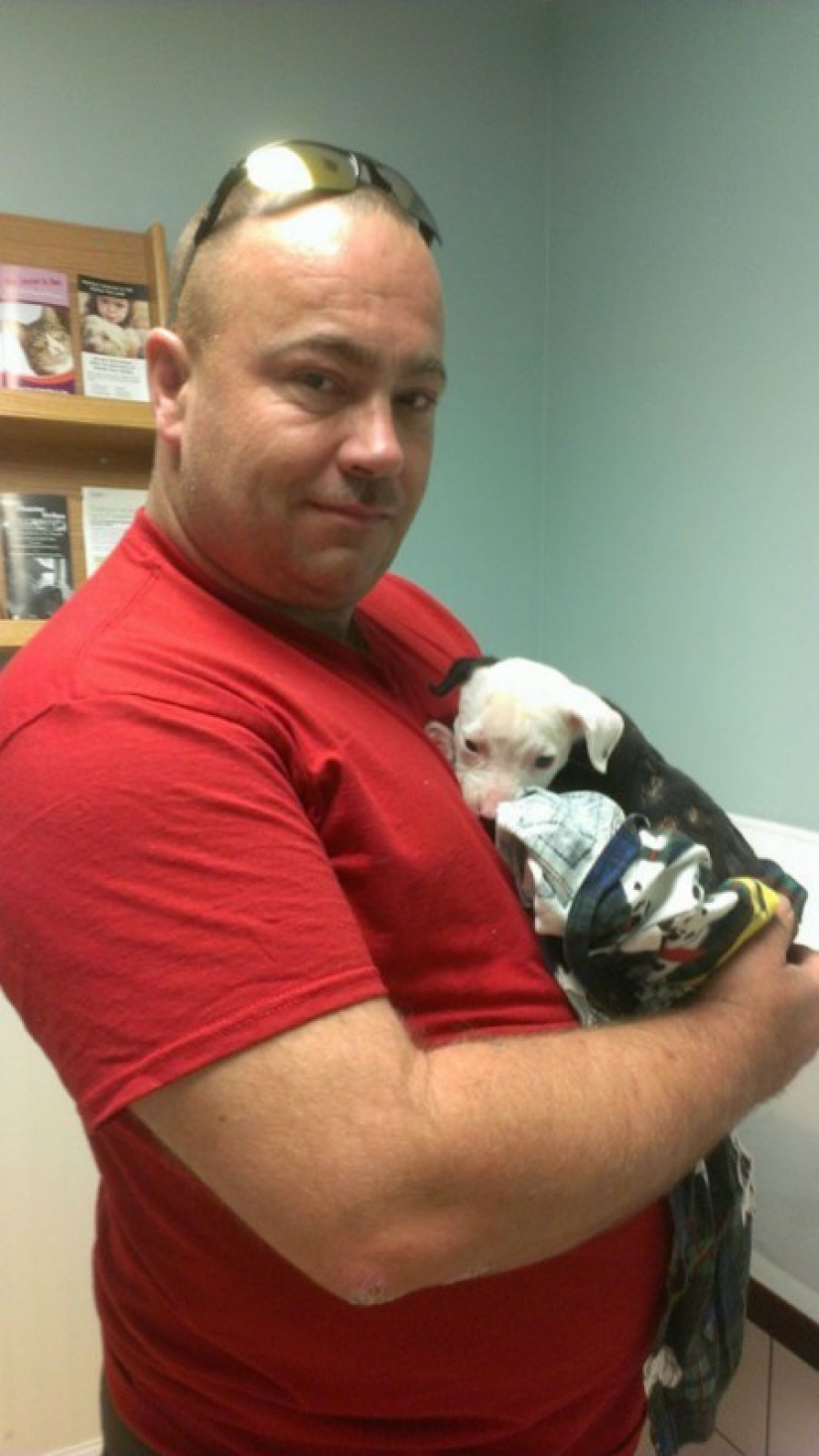 Un cachorro que apenas sobrevivió al incendio creció y se convirtió en un perro de fuego