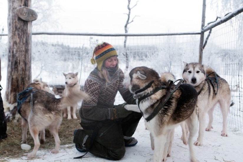 Un día en la vida de un ermitaño polar