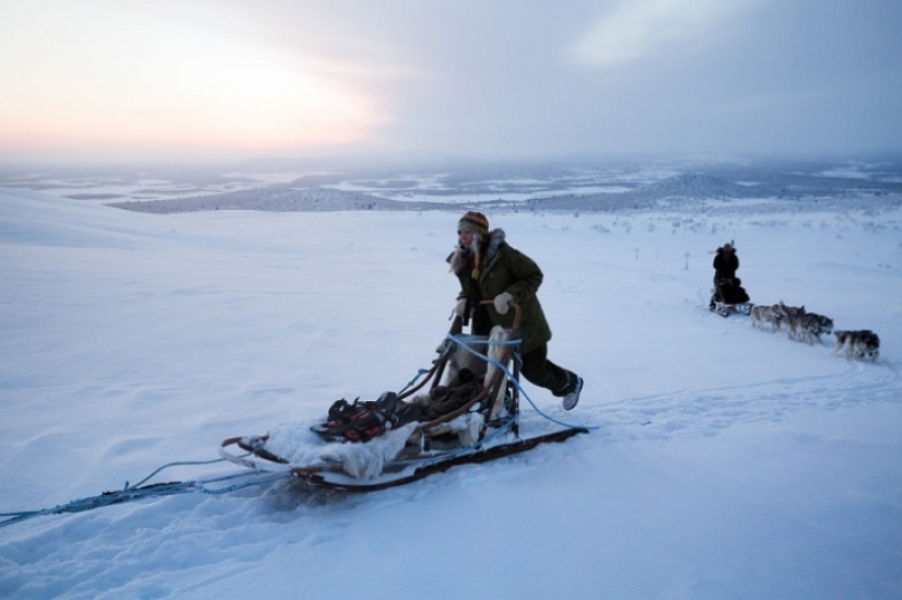 Un día en la vida de un ermitaño polar