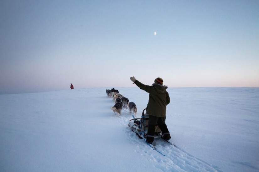 Un día en la vida de un ermitaño polar