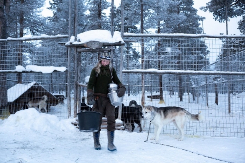 Un día en la vida de un ermitaño polar