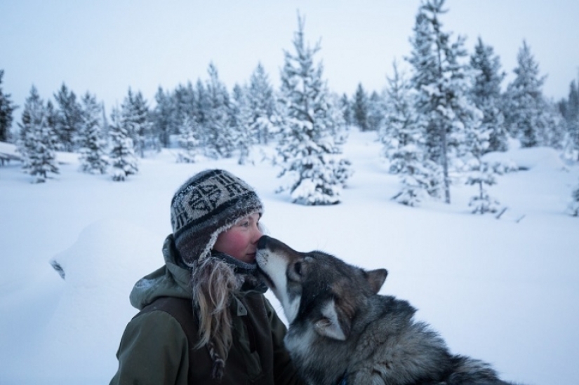 Un día en la vida de un ermitaño polar