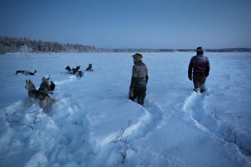Un día en la vida de un ermitaño polar