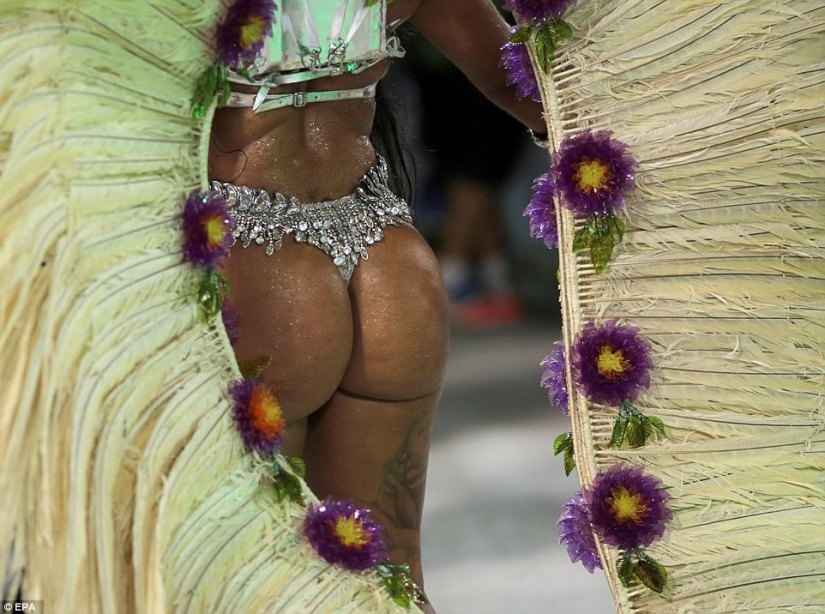 Un derroche de carne, sudor y purpurina: Río de Janeiro ha capturado el carnaval
