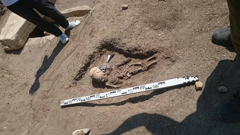 Un esqueleto de un bebé del siglo II con un cráneo alargado fue encontrado en Crimea Un esqueleto de un bebé del siglo II con un cráneo alargado fue encontrado en Crimea