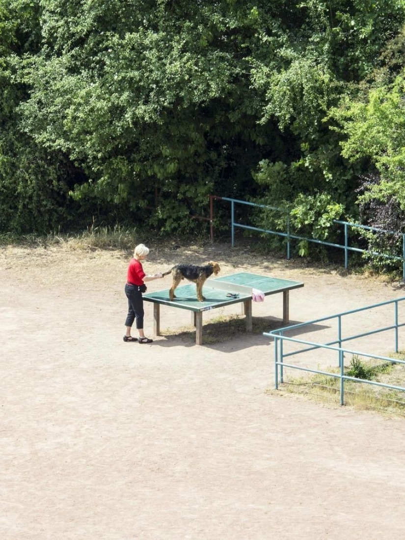 Un hombre japonés ha estado fotografiando una mesa de tenis durante cinco años, y la gente no la necesita para el ping-pong en absoluto
