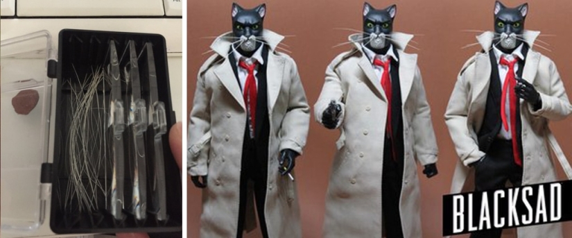 Un hombre puso a la venta bigotes de gato, y un comprador con solicitudes específicas se interesó en ellos