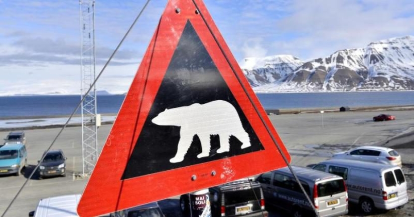 Un hombre ruso fue condenado a prisión por robar un banco noruego en el Círculo Polar Ártico Un hombre ruso fue condenado a prisión por robar un banco noruego en el Círculo Polar Ártico