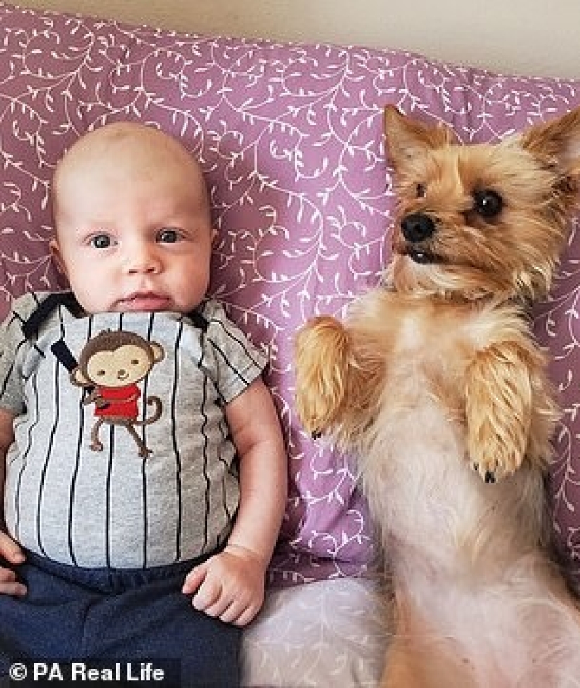 Un hombre se convirtió en donante de esperma para un amigo transgénero y su esposa, con quienes solía tener aventuras