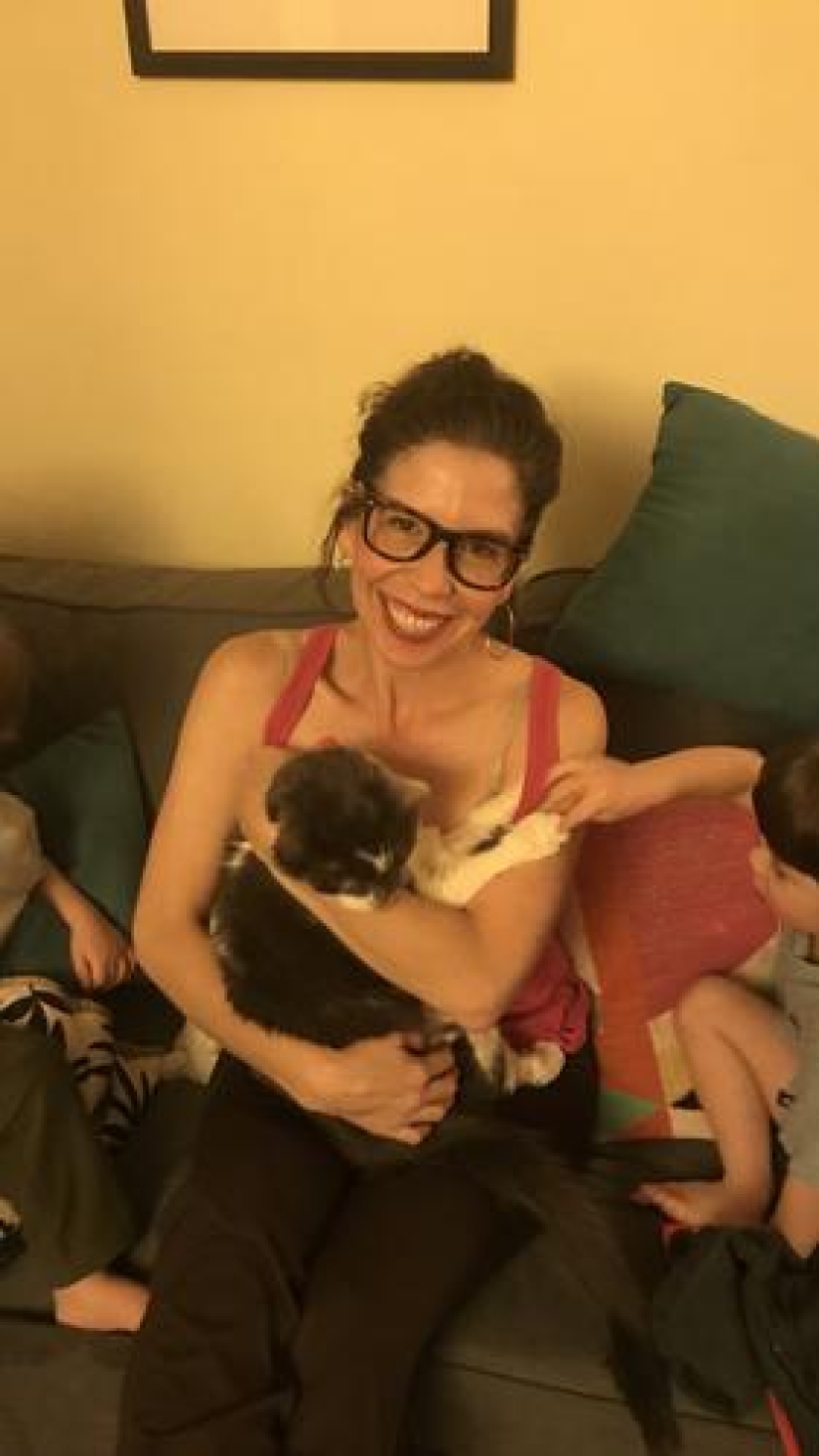 Un maestro estadounidense común gastó 19 mil dólares en un trasplante de riñón a un gato