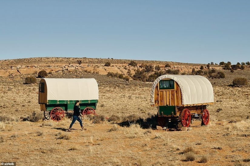 Un millón de dólares por creatividad: Airbnb está buscando los 10 hogares más originales Un millón de dólares por creatividad: Airbnb está buscando los 10 hogares más originales