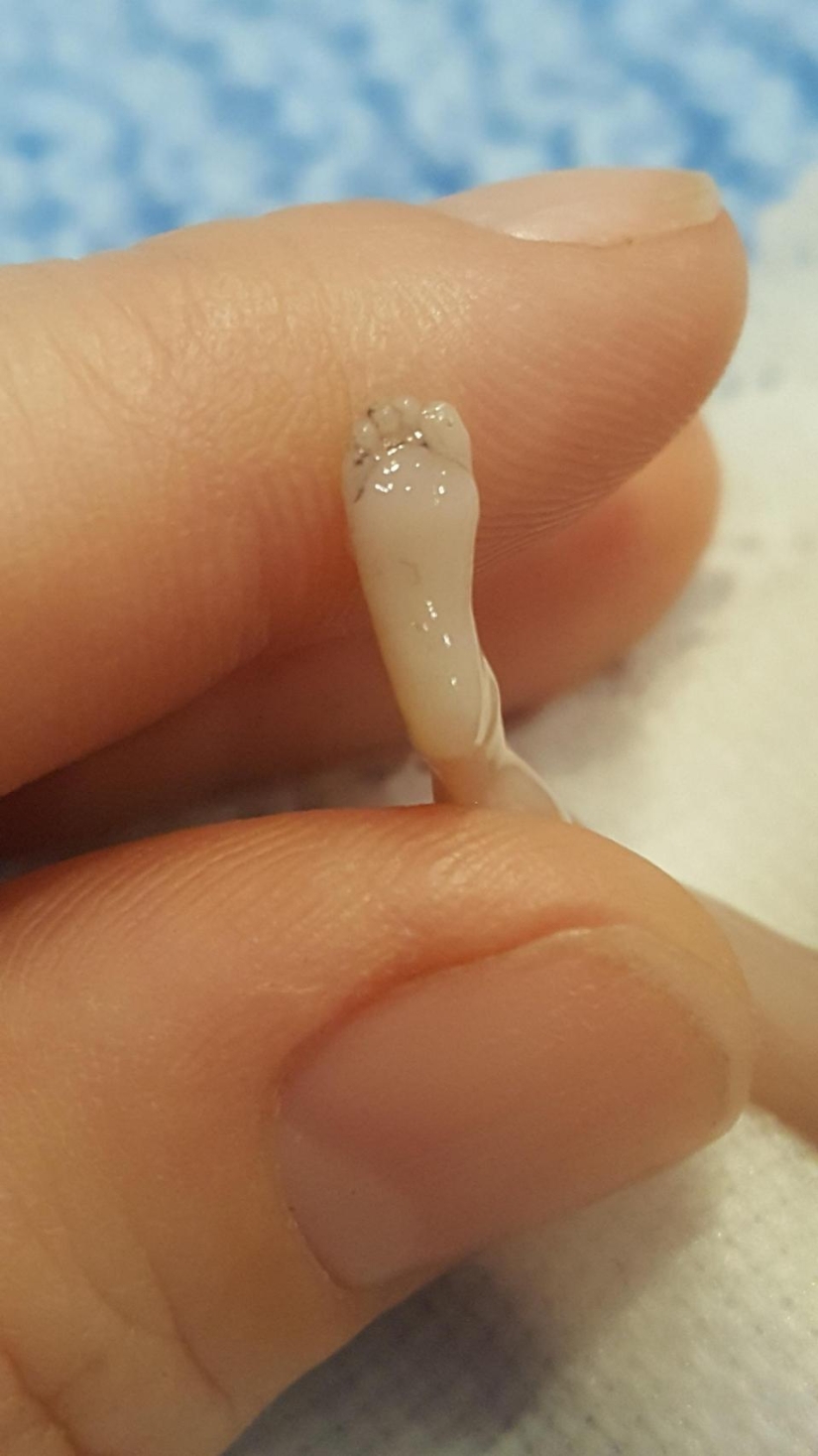 ¿Un niño o un biomaterial? Una mujer estadounidense ha publicado una foto de su hijo muerto ¿Un niño o un biomaterial? Una mujer estadounidense ha publicado una foto de su hijo muerto