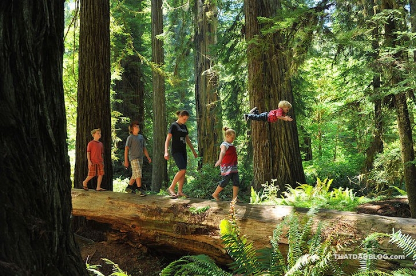 Un padre amoroso ayuda a su hijo" soleado " a volar