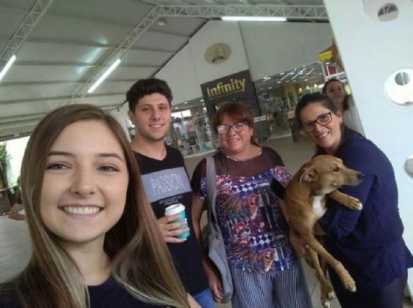 Un perro callejero roba un libro de una librería y se convierte en una celebridad
