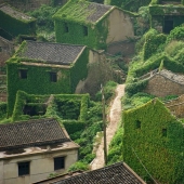 Un pueblo de pescadores absorbido por la naturaleza