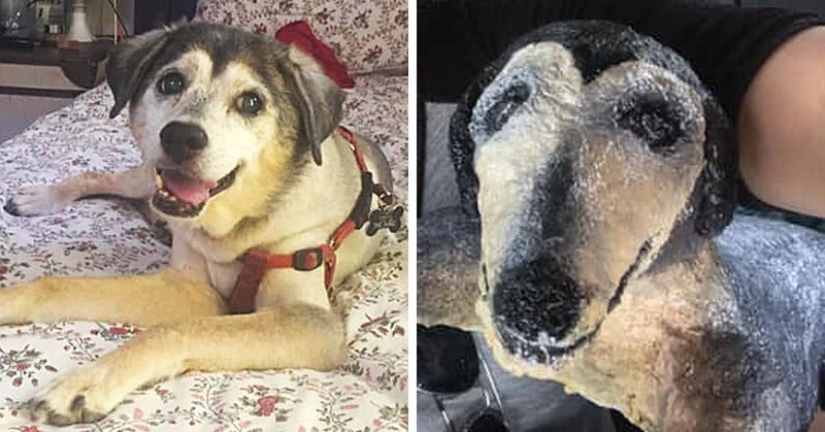 Un regalo con tus propias manos y lo que salió de él