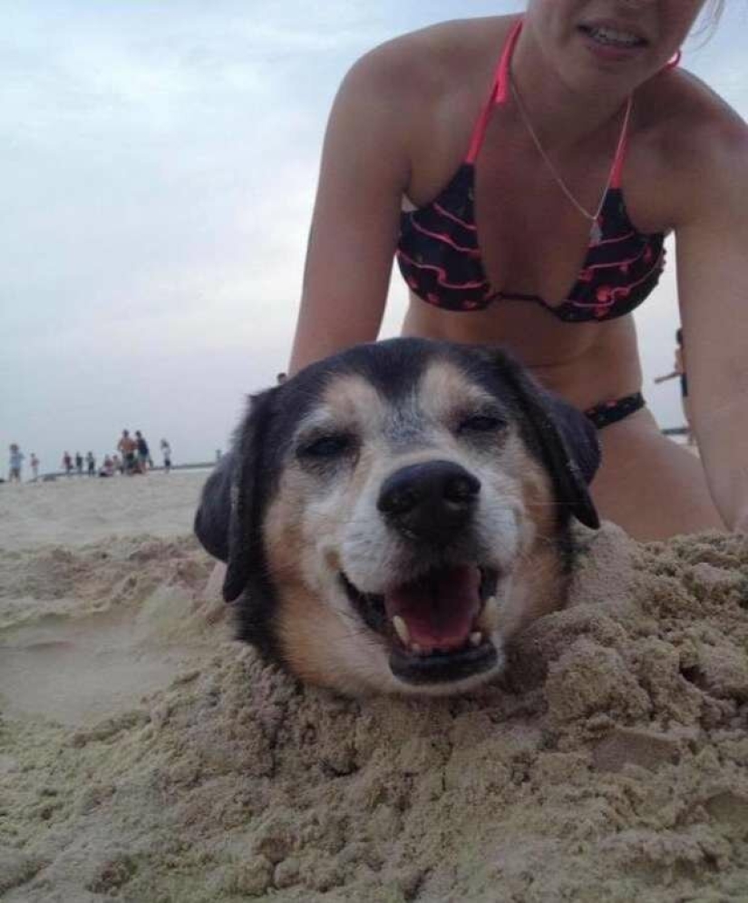 Un regalo con tus propias manos y lo que salió de él