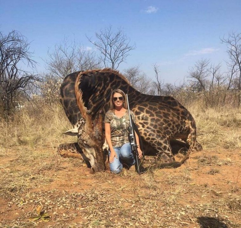 Una cazadora sedienta de sangre mató a una rara jirafa negra y cosió una funda de su piel